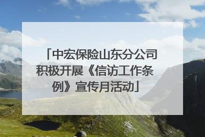 中宏保险山东分公司积极开展《信访工作条例》宣传月活动