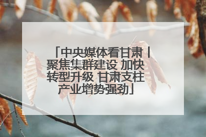 中央媒体看甘肃丨聚焦集群建设 加快转型升级 甘肃支柱产业增势强劲