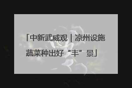 中新武威观｜凉州设施蔬菜种出好“丰”景