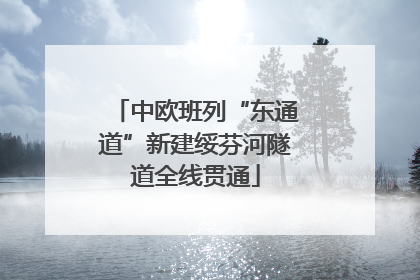 中欧班列“东通道”新建绥芬河隧道全线贯通