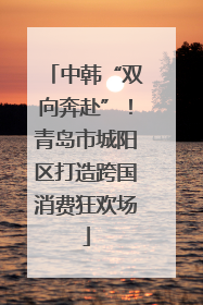 中韩“双向奔赴”！青岛市城阳区打造跨国消费狂欢场