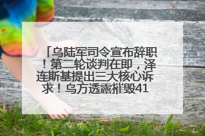 乌陆军司令宣布辞职！第二轮谈判在即，泽连斯基提出三大核心诉求！乌方透露摧毁41架俄战略轰炸机
