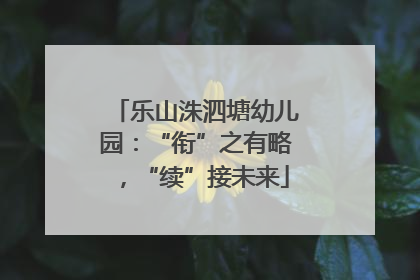 乐山洙泗塘幼儿园：“衔”之有略，“续”接未来