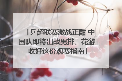 乒超联赛激战正酣 中国队即将出战男排、花游 收好这份观赛指南