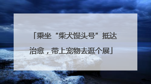 乘坐“柴犬馒头号”抵达治愈，带上宠物去逛个展