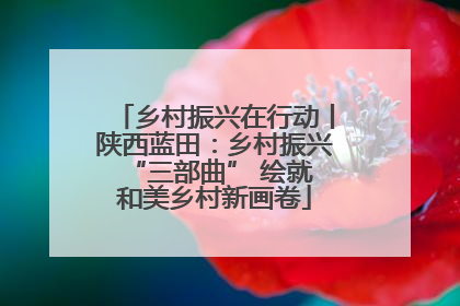 乡村振兴在行动丨陕西蓝田：乡村振兴 “三部曲” 绘就和美乡村新画卷