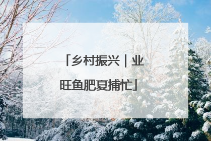 乡村振兴｜业旺鱼肥夏捕忙