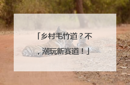 乡村毛竹道？不，潮玩新赛道！