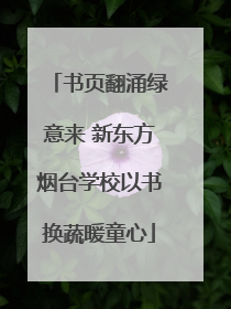 书页翻涌绿意来 新东方烟台学校以书换蔬暖童心