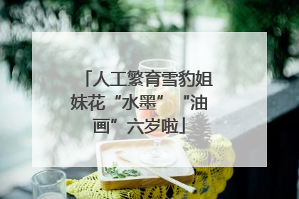 人工繁育雪豹姐妹花“水墨”“油画”六岁啦