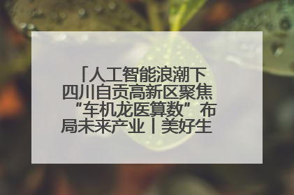 人工智能浪潮下 四川自贡高新区聚焦“车机龙医算数”布局未来产业丨美好生活有“盐”味