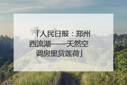 人民日报：郑州西流湖——天然空调房里赏莲荷
