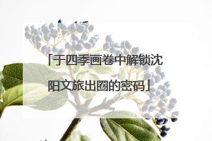 于四季画卷中解锁沈阳文旅出圈的密码
