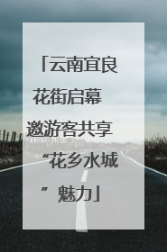 云南宜良花街启幕 邀游客共享“花乡水城”魅力