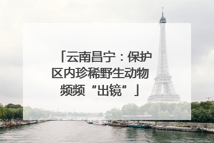 云南昌宁：保护区内珍稀野生动物频频“出镜”