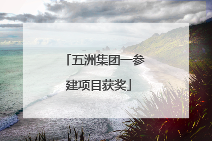 五洲集团一参建项目获奖