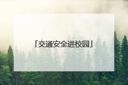 交通安全进校园