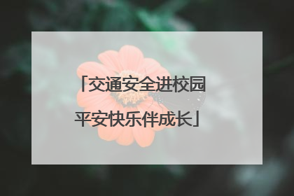 交通安全进校园 平安快乐伴成长