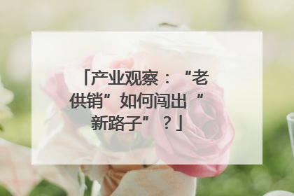 产业观察：“老供销”如何闯出“新路子”？