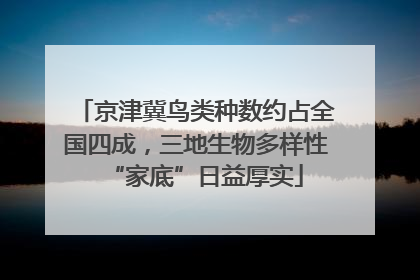 京津冀鸟类种数约占全国四成，三地生物多样性“家底”日益厚实