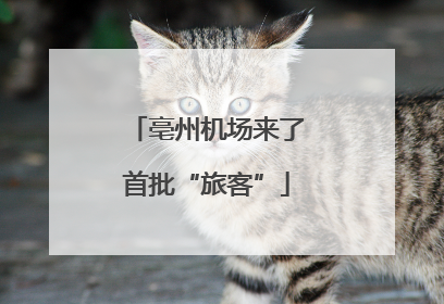 亳州机场来了首批“旅客”