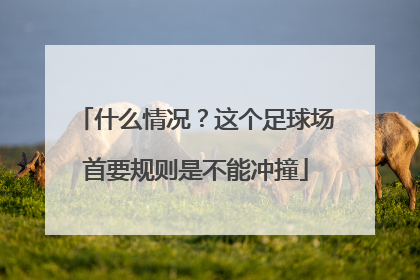 什么情况？这个足球场首要规则是不能冲撞