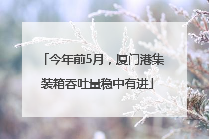今年前5月，厦门港集装箱吞吐量稳中有进