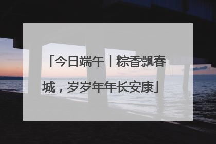 今日端午丨粽香飘春城，岁岁年年长安康