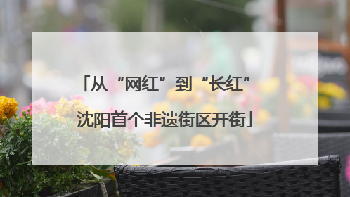 从“网红”到“长红” 沈阳首个非遗街区开街