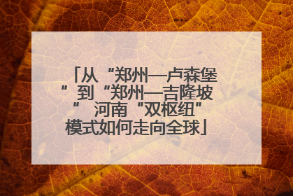 从“郑州—卢森堡”到“郑州—吉隆坡” 河南“双枢纽”模式如何走向全球