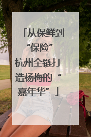 从保鲜到“保险” 杭州全链打造杨梅的“嘉年华”