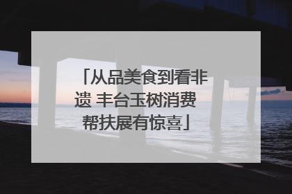 从品美食到看非遗 丰台玉树消费帮扶展有惊喜