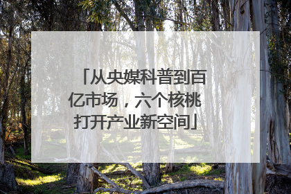 从央媒科普到百亿市场，六个核桃打开产业新空间