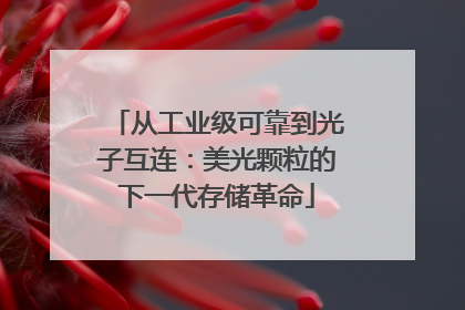 从工业级可靠到光子互连：美光颗粒的下一代存储革命