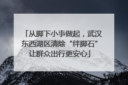 从脚下小事做起，武汉东西湖区清除“绊脚石”让群众出行更安心