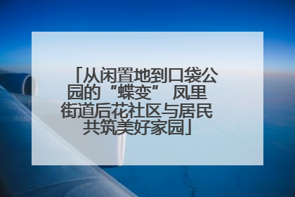 从闲置地到口袋公园的“蝶变” 凤里街道后花社区与居民共筑美好家园