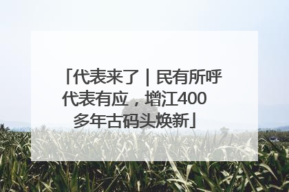 代表来了｜民有所呼代表有应，增江400多年古码头焕新