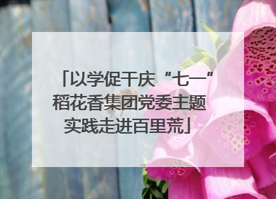 以学促干庆“七一” 稻花香集团党委主题实践走进百里荒
