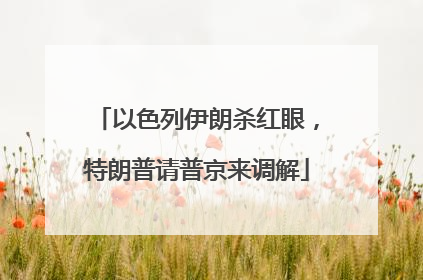 以色列伊朗杀红眼，特朗普请普京来调解