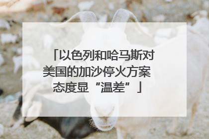 以色列和哈马斯对美国的加沙停火方案态度显“温差”