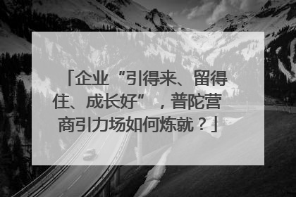 企业“引得来、留得住、成长好”，普陀营商引力场如何炼就？
