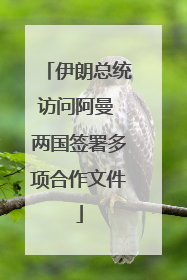 伊朗总统访问阿曼 两国签署多项合作文件