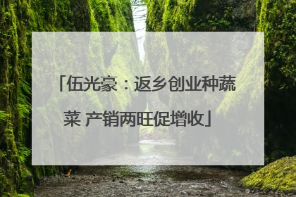 伍光豪：返乡创业种蔬菜 产销两旺促增收