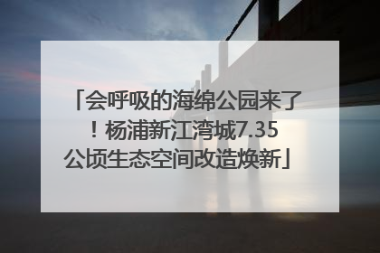 会呼吸的海绵公园来了！杨浦新江湾城7.35公顷生态空间改造焕新