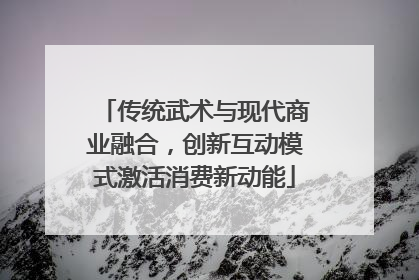 传统武术与现代商业融合，创新互动模式激活消费新动能