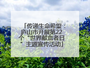 传递生命希望：庐山市开展第22个“世界献血者日”主题宣传活动