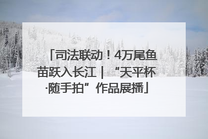 司法联动！4万尾鱼苗跃入长江｜“天平杯·随手拍”作品展播