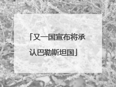 又一国宣布将承认巴勒斯坦国