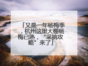 又是一年杨梅季，杭州这里大棚杨梅已熟，“采摘攻略”来了