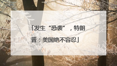 发生“恐袭”，特朗普：美国绝不容忍